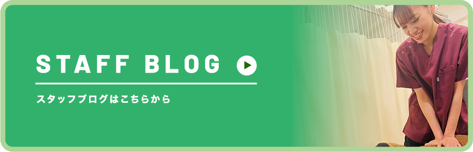 スタッフブログ